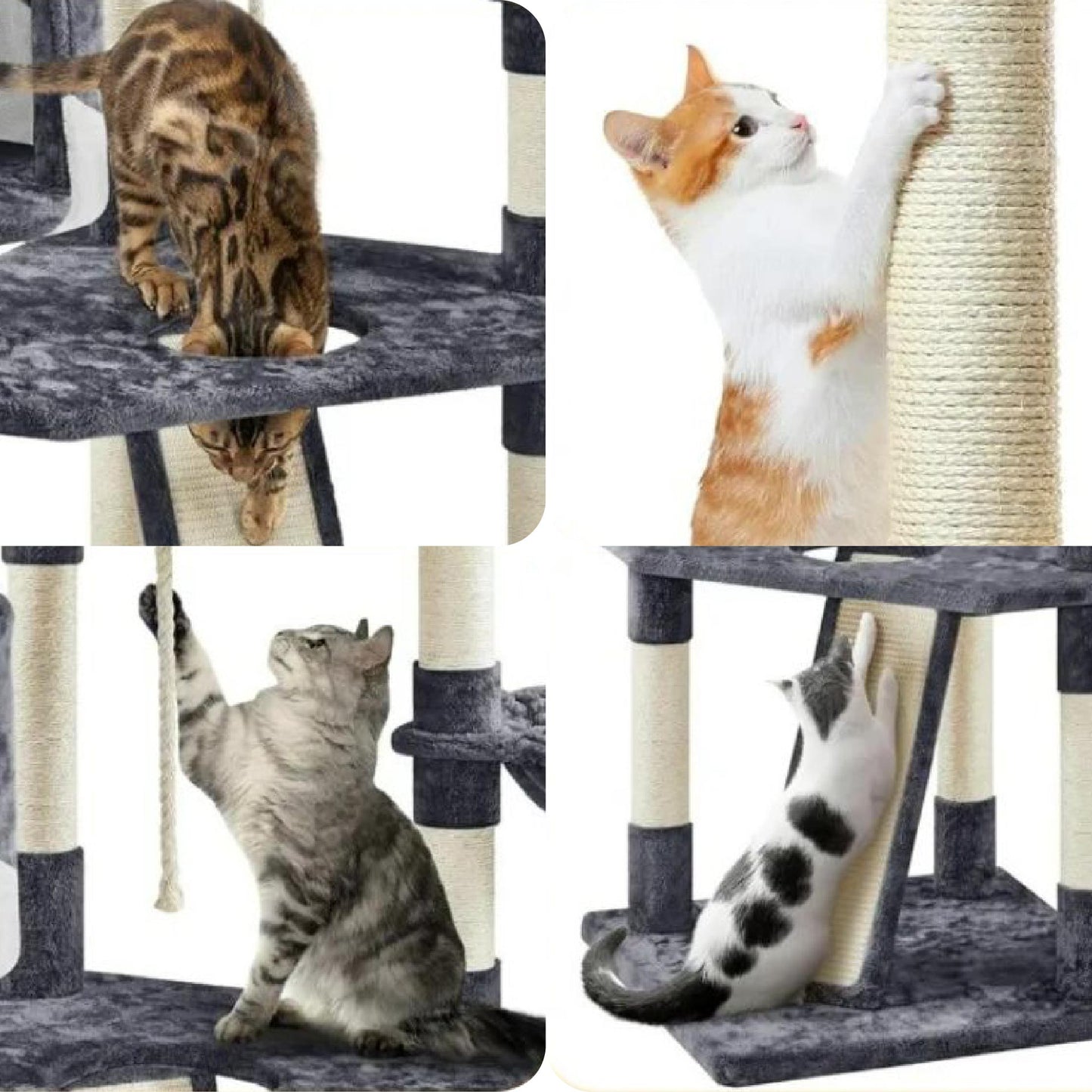 FunnyLuza - Cat Tower with Scratching Posts