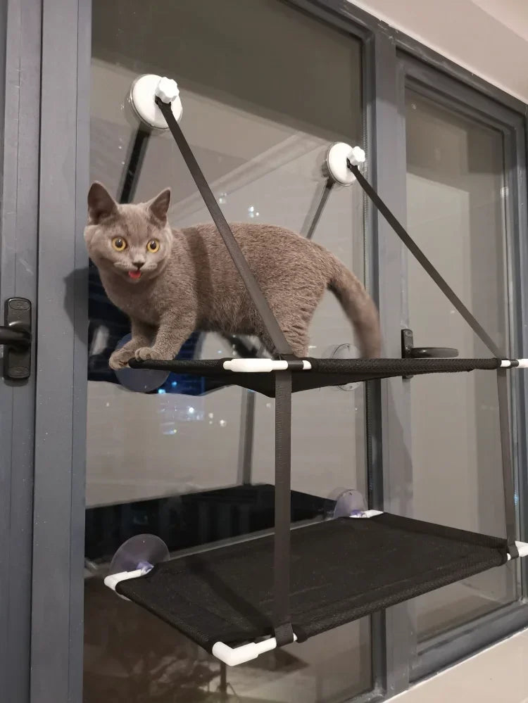 FunnyLuza - Cat Window Hammock