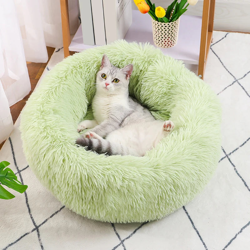 FunnyLuza – Premium Fluffy Pet Sofa