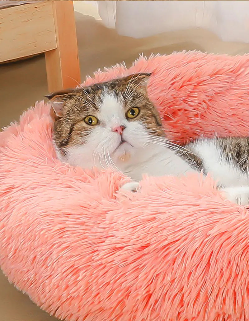 FunnyLuza – Premium Fluffy Pet Sofa