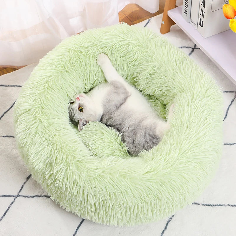 FunnyLuza – Premium Fluffy Pet Sofa