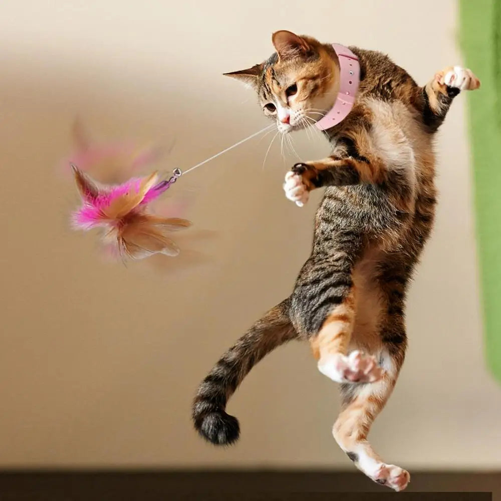 Cat Collar Feather Toy - FUNNY LUZA