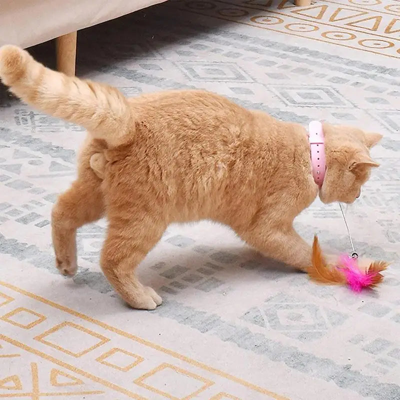 Cat Collar Feather Toy - FUNNY LUZA